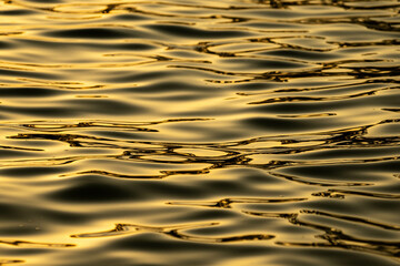 水面の揺らぎ