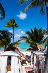 beach with palm trees