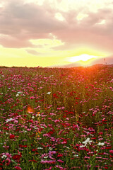 The sunset on the mountain