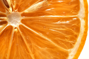 Big close up shot of orange slice showing the surface tissue  details and some water drops on its. 