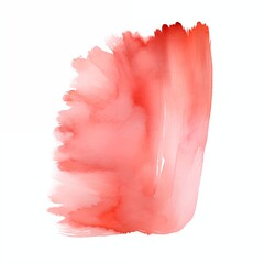 Coral pink paint brush stroke