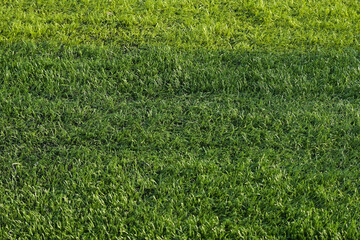 artificial green grass turf sport soccer field with black rubber granules infill