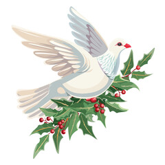 Dove with christmas mistletoe branch isolated on wh