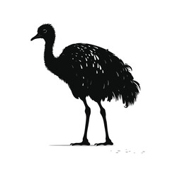 Emu silhouette. Black icon isolated on white 