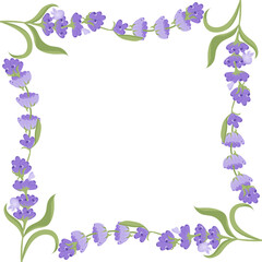 Decorative frame of lavender flowers for your design. Vector illustration isolated on white background.