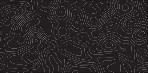 Black and white abstract background Abstracts Topographic map and white lines, contour background, Vector contour topographic map background. Topography Animation Motion. Slowly moving colorful lines.