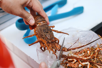 Close-up of Hand Cutting Lobster