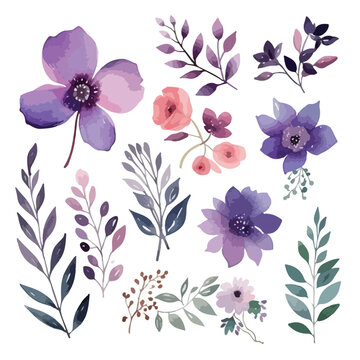 Vector floral set.Colorful purple floral collection