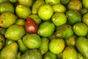 Avocados have many benefits and are sold in many countries