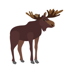 vector drawing moose,elk isolated at white background, hand drawn illustration