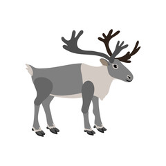 vector drawing reindeer, caribou isolated at white background, hand drawn illustration