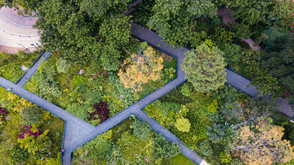 camino entre naturaleza cruzado, parques del rio medellín