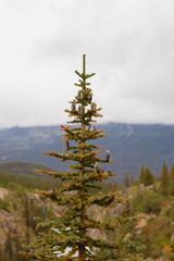 alaska photography