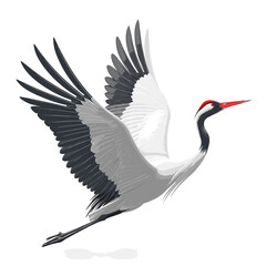 Fototapeta premium Crane Flies Cartoon Icon, isolated on transparent background, PNG For Designer