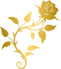 Golden rose vine