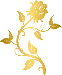 Golden rose vine © N2
