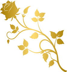 Fototapeta premium Golden rose vine