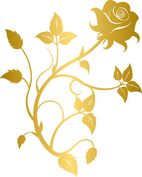 Golden rose vine