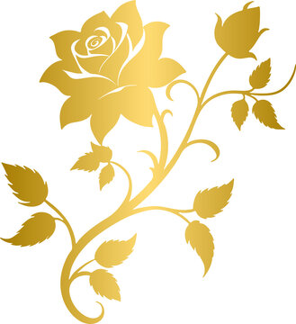 Golden rose vine