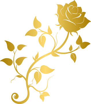 Golden rose vine