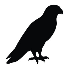 silhouette of a falcon bird on white