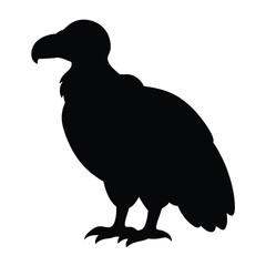 silhouette of a vulture on white
