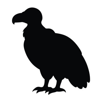 recommend clip art: silhouette of a vulture on white