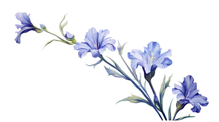 Schilderijen op glas blue iris flower © Qlyw