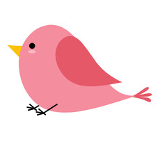 Cute pink bird
