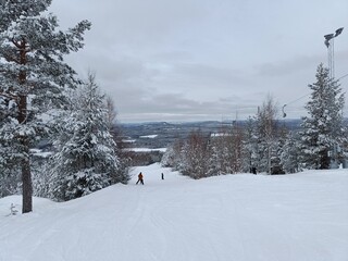 Off-piste skiing in northern Sweden. Kanis, Lappland, Sweden. - 766779217