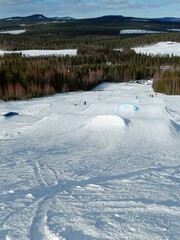 Off-piste skiing in northern Sweden. Kanis, Lappland, Sweden. - 766779236