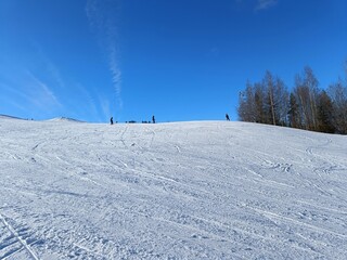 Off-piste skiing in northern Sweden. Kanis, Lappland, Sweden. - 766779240