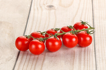 Ripe sweet cherry tomato branch