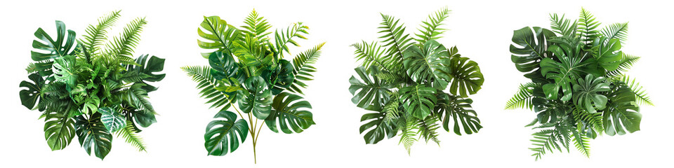 Set of tropical vibes plant bush floral arrangement with tropical leaves Monstera and fern, isolated on transparent background