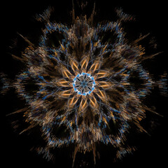 zoom exploded style floral fantasy gold and silver coloured on a black background