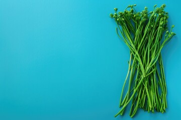 Green Beans on Blue Background