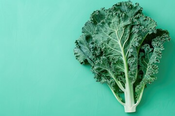 Close Up of a Leafy Green Vegetable