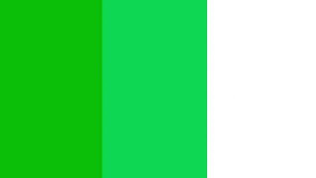 Cinco de Mayo in Spanish for "Fifth of May" color swipe transition