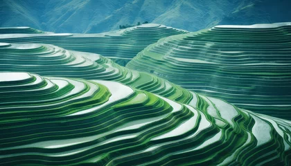 Foto op Plexiglas A green hillside with a mountain in the background © terra.incognita
