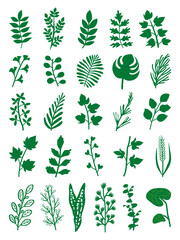 various plant leaves