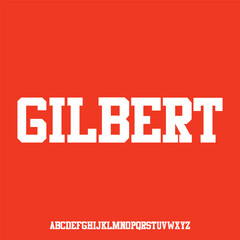 luxury and elegant font glamour style