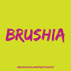 BRUSHIA grunge brush handwrite alphabet set vector
