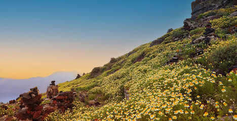Sunset of spring season with flowers field view of hill Skyros at village of Imerovigli island in the evening on Santorini, Mediterranean sea, Greece