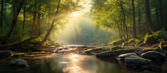 In a lush forest setting, a winding river runs through the landscape, surrounded by rocks and tall trees