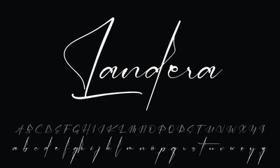 signature Font Calligraphy Logotype Script Brush Font Type Font lettering handwritten