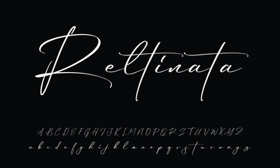 signature Font Calligraphy Logotype Script Brush Font Type Font lettering handwritten