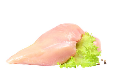  Chicken meat isolated