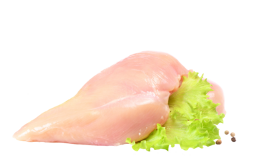  Chicken meat isolated