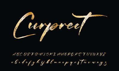 Signature Font Calligraphy Logotype Script Brush Font Type Font lettering handwritten