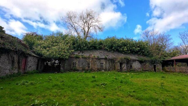 Old Irish farmyards Family home now derelict and overgrown once full of life Waterford Ireland